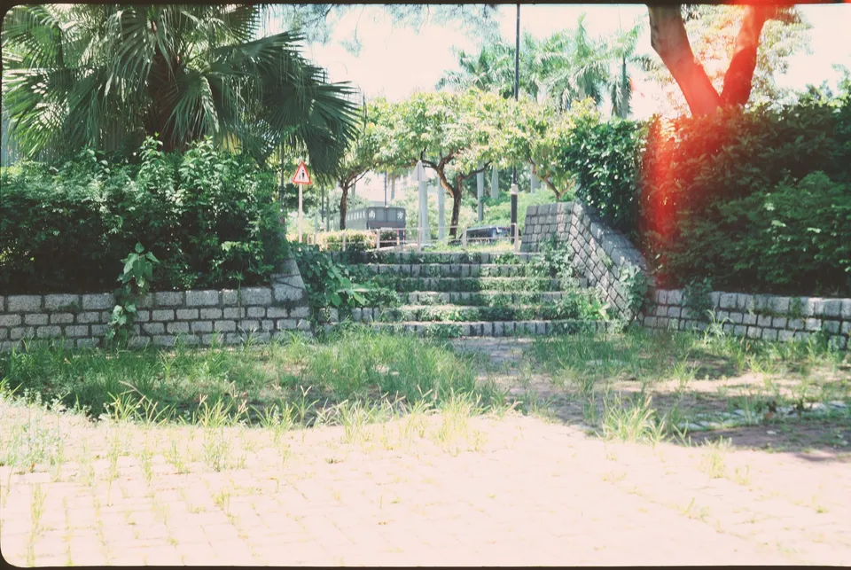 a stone wall and steps in a park area with trees and bushes around it and a brick wall and steps leading up to the top