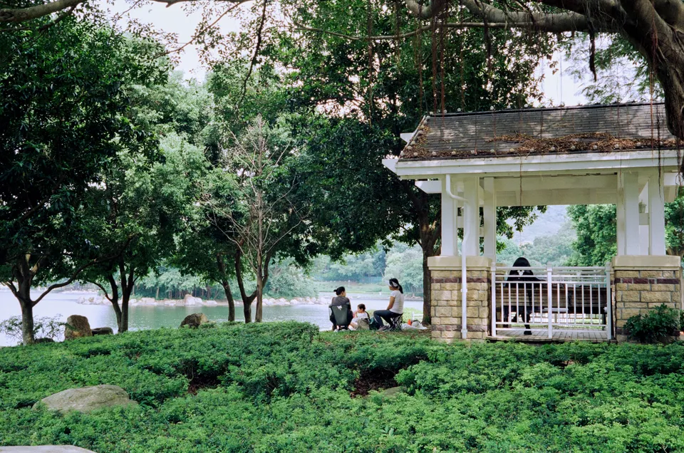 People picnicking