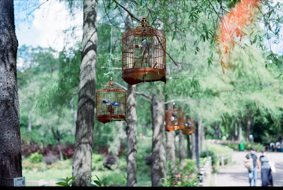 Photo of Tsing Yi park