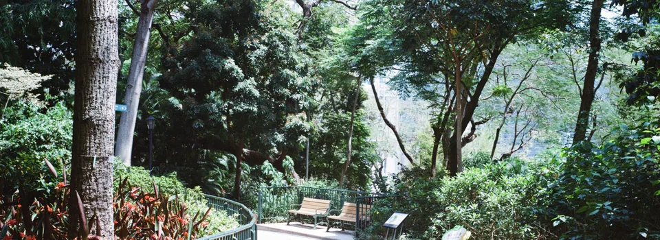 Garden chair
