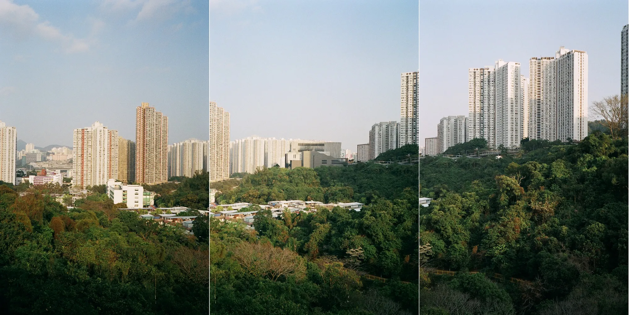 3 side-by-side landscape shots