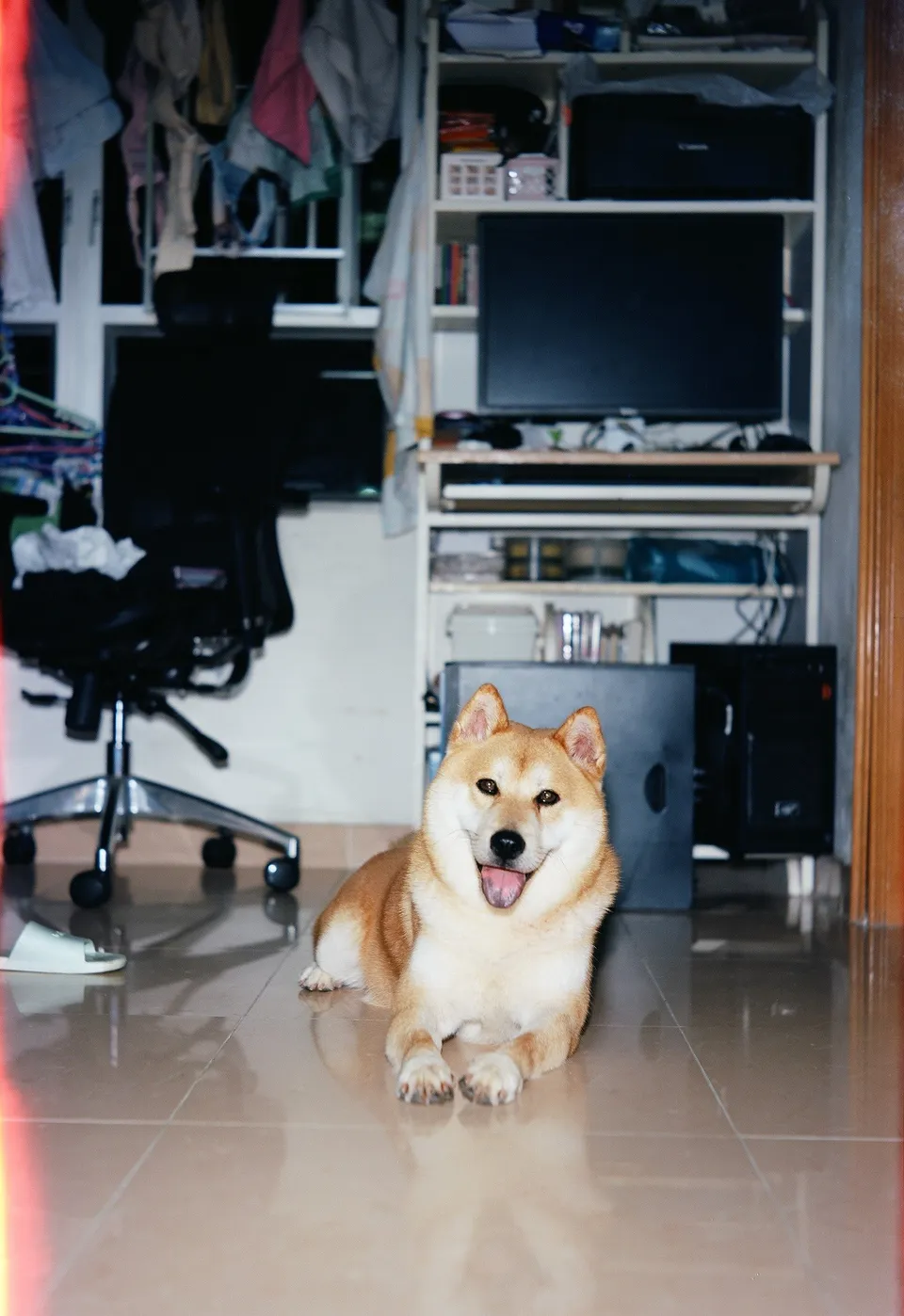 Photo of Sailo