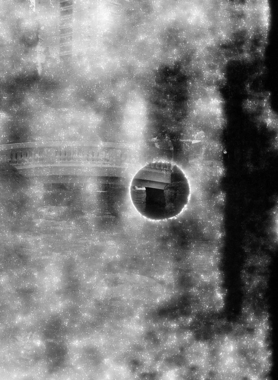 Circle spot without any fungus