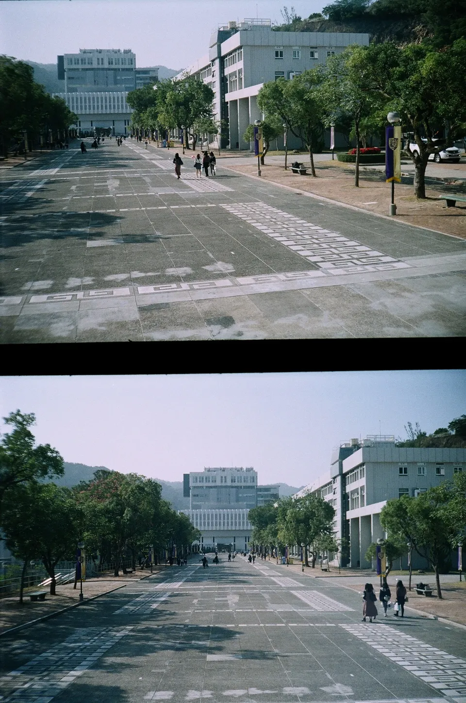 The Chinese University of Hong Kong