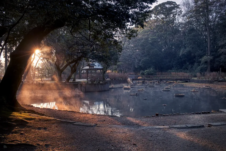 Sunrise upon the pond