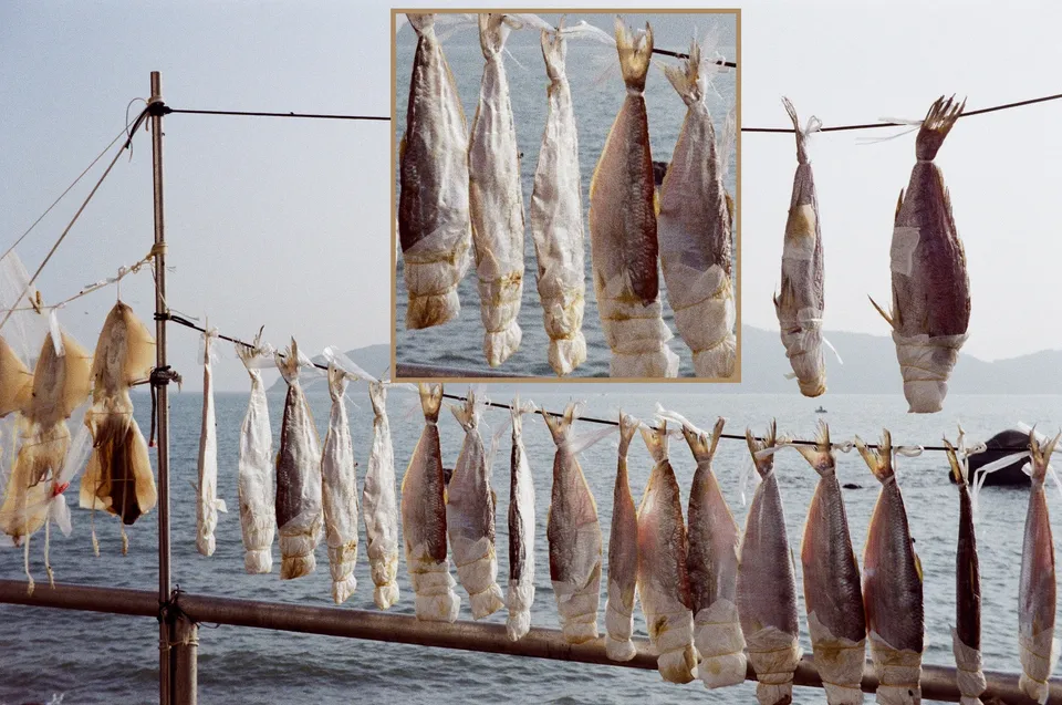 Salted fish, like you