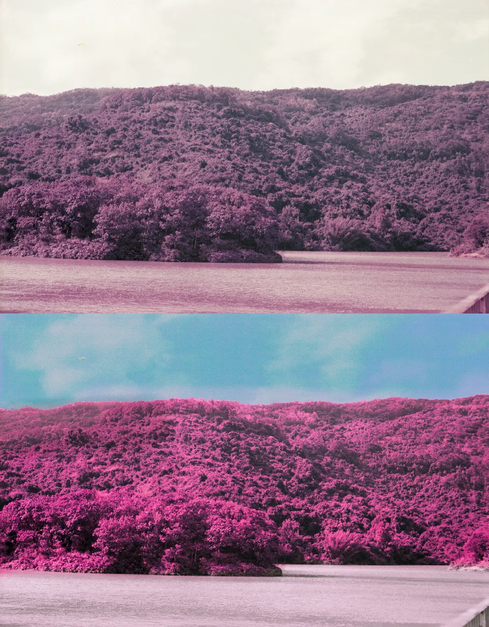 LOMO purple