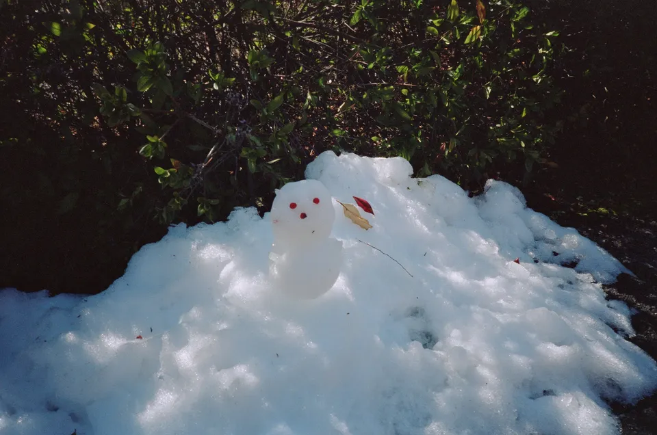 Snowman
