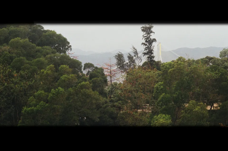 3:2 frame cropped to 21:9