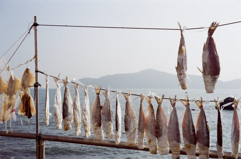 Salty fish for the Memar