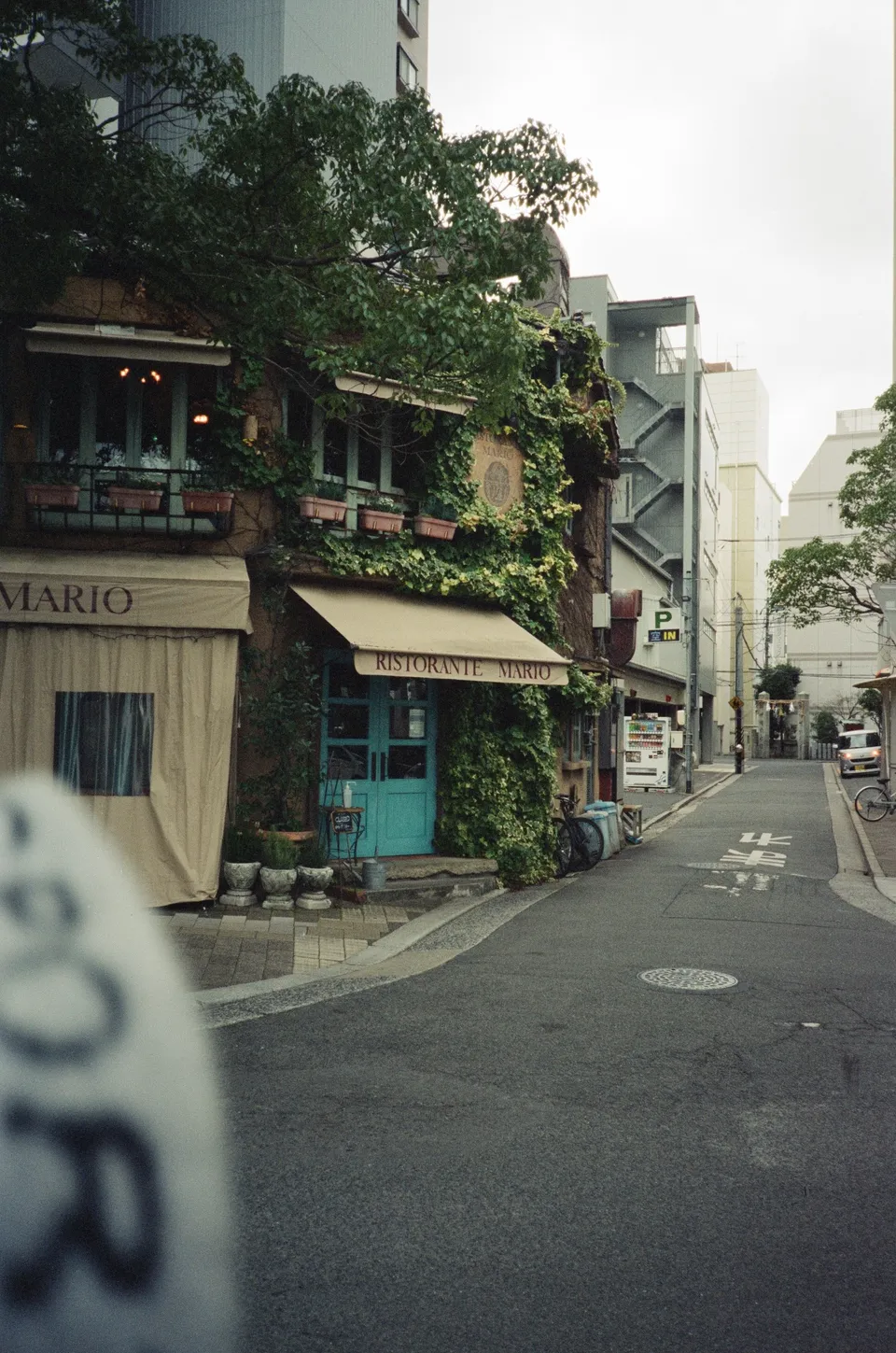 Fancy restaurant and the sock photobombing near the Hiroshima Peace Memorial