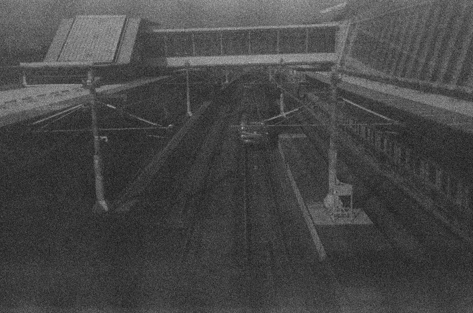 Image from expired film converted into BnW