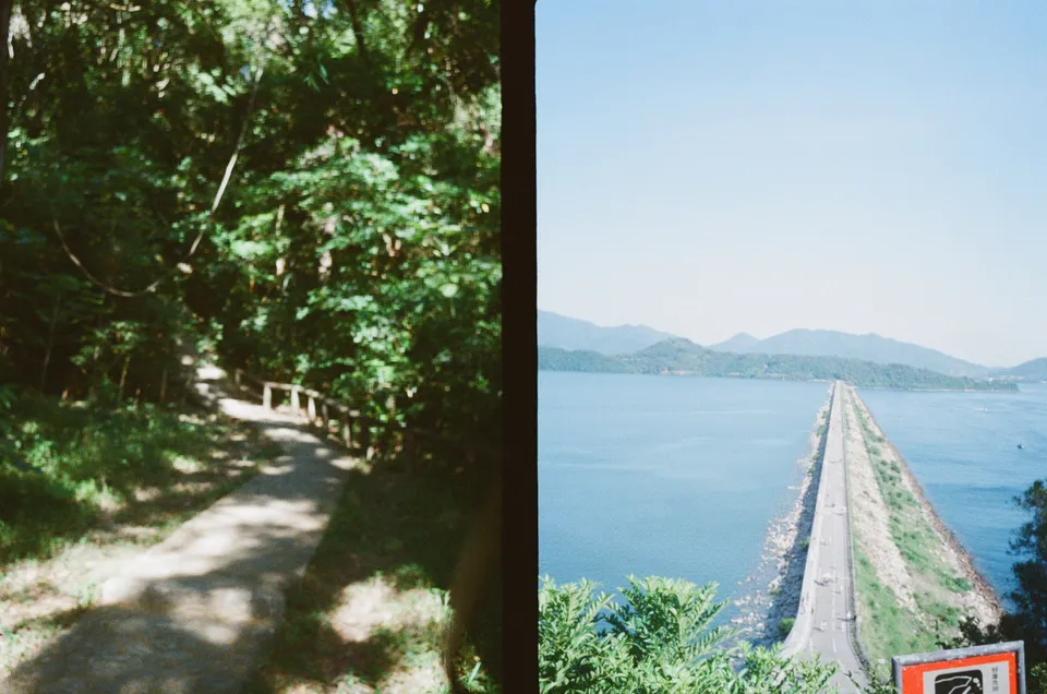 Blurry image in a forest/Main dam of Plover Cove Reservoir