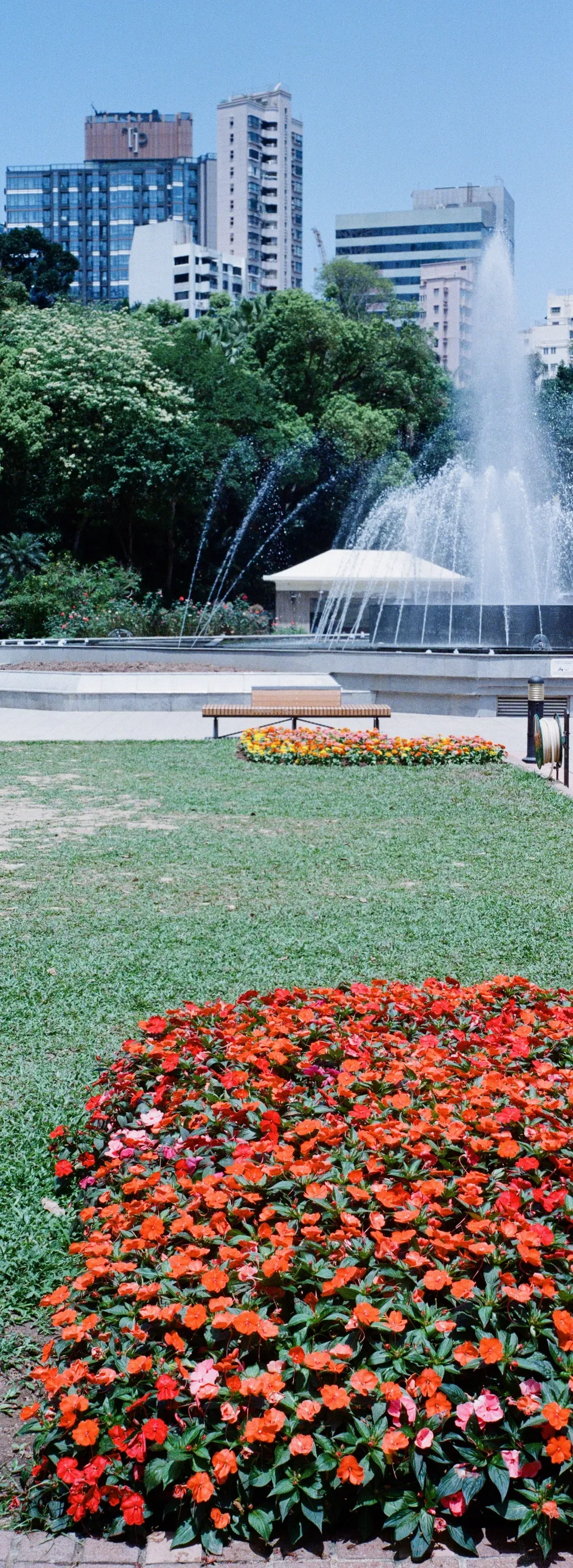 Flower garden